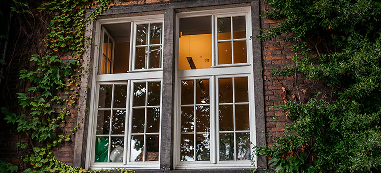 Energy Efficient Wood Windows in Fort Myers, FL
