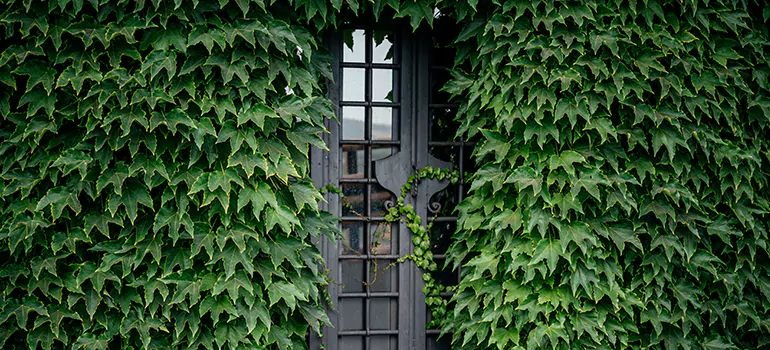 Garden Gate Repair in Fort Myers, FL
