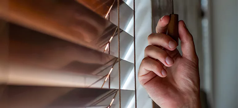 Double Roller Blinds in Fort Myers, FL