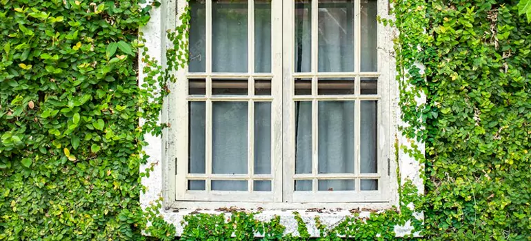 Garden Window Repair Near Me in Fort Myers, FL
