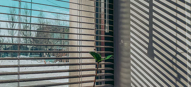Commercial Window Blinds in Fort Myers, FL