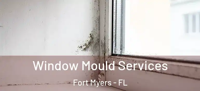  Window Mould Services Fort Myers - FL